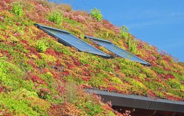 West Hoathly living roof systems